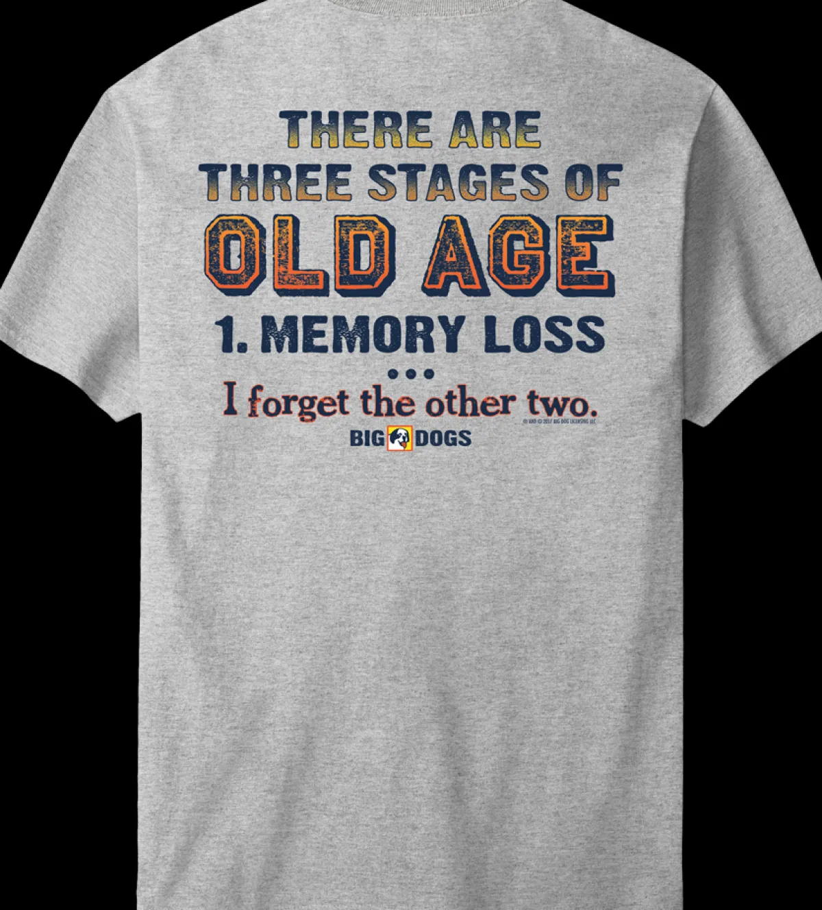 Big Dogs Humor|3 Stages of Old Age T-Shirt