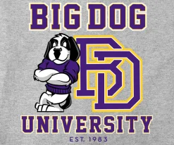 Big Dogs Sports|Bd University Purple Gold T-shirt