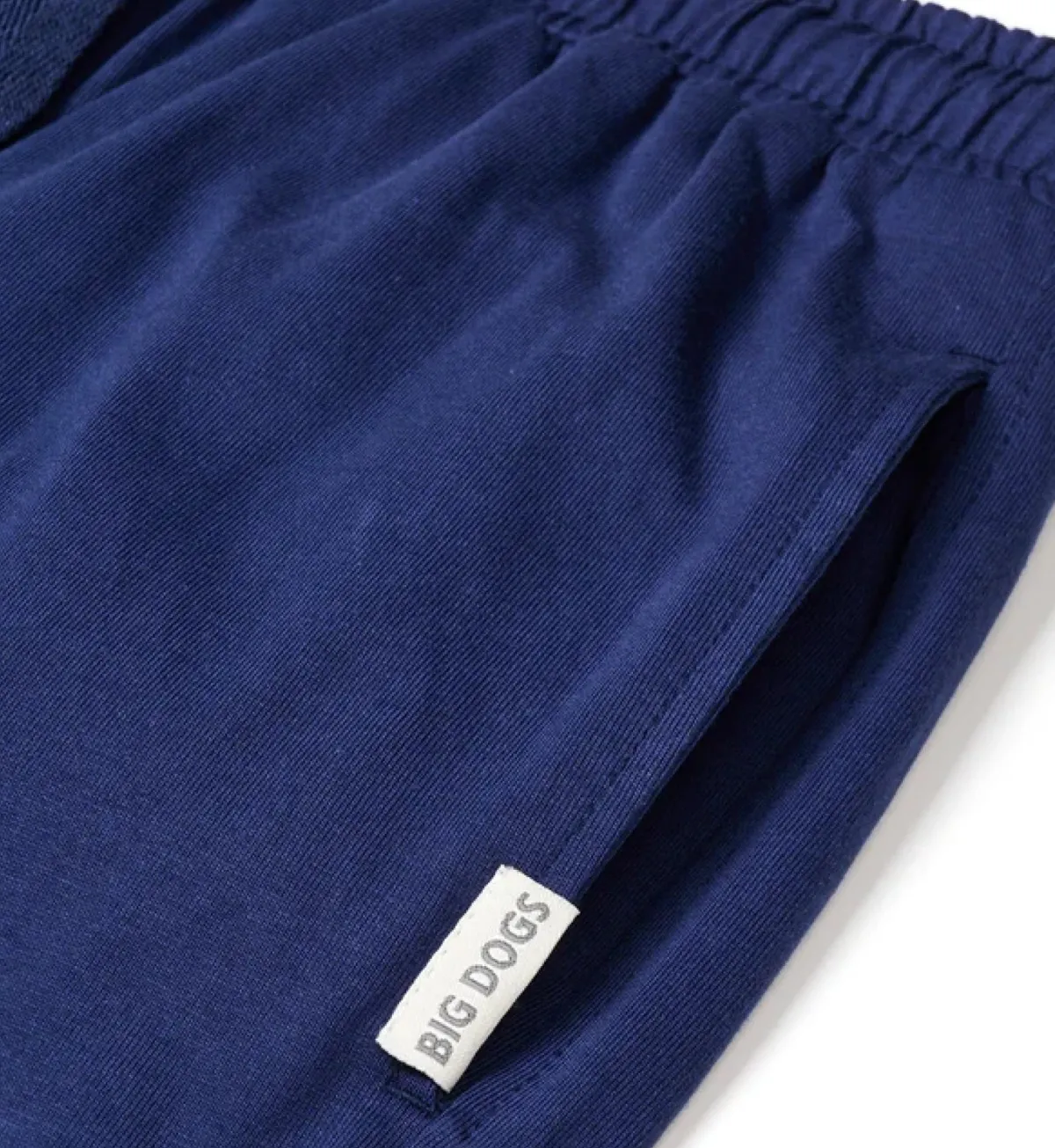 Big Dogs Big Dogs Lounge Pants|Dept of Relaxation Pant