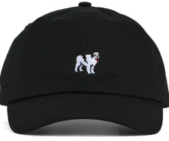 Big Dogs Hats|Dog Dad Icon Hat