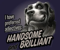 Big Dogs Humor|Handsome And Brilliant T-Shirt