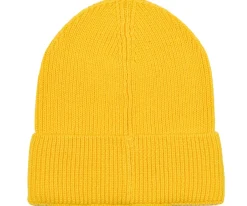 Big Dogs Beanies|Icon Beanie
