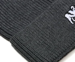 Big Dogs Beanies|Icon Beanie