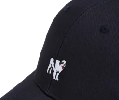 Big Dogs Hats|Icon Trucker Hat