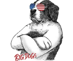 Big Dogs Patriotic|Big Attitude|Stars & Stripes Bad Dog T-Shirt