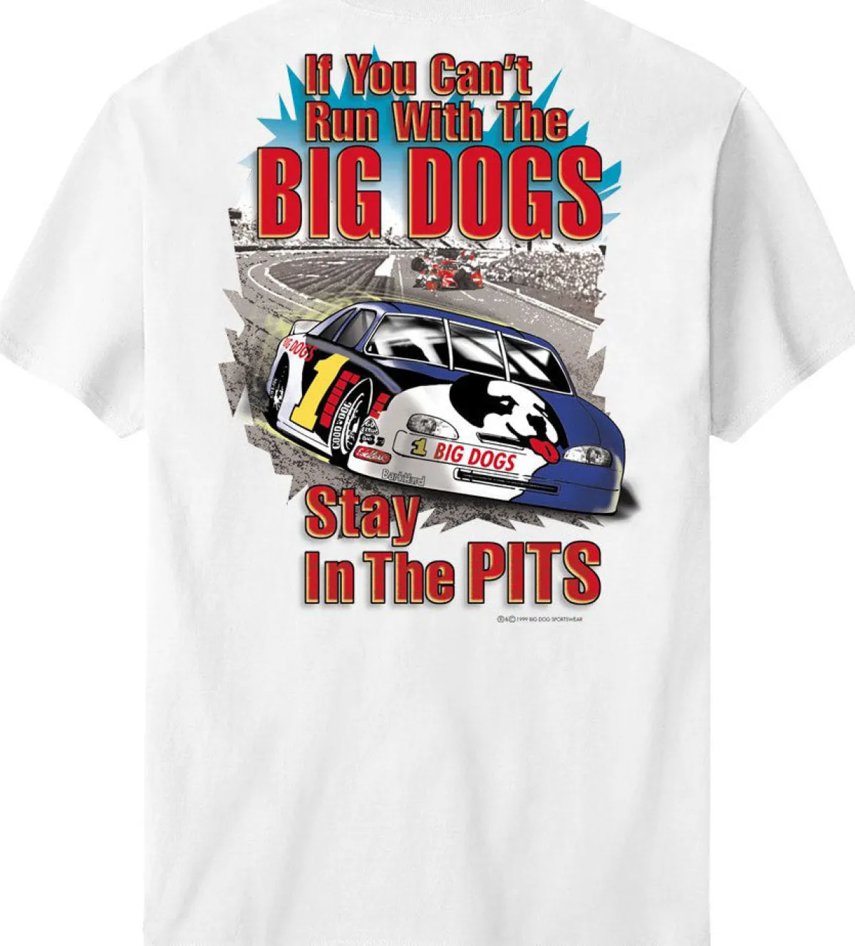 Big Dogs Hobby|Stay In The Pits Stock Car T-Shirt