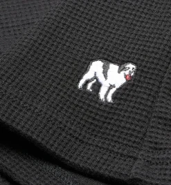 Big Dogs Waffle Knit Volley|Waffle Knit Volley Short